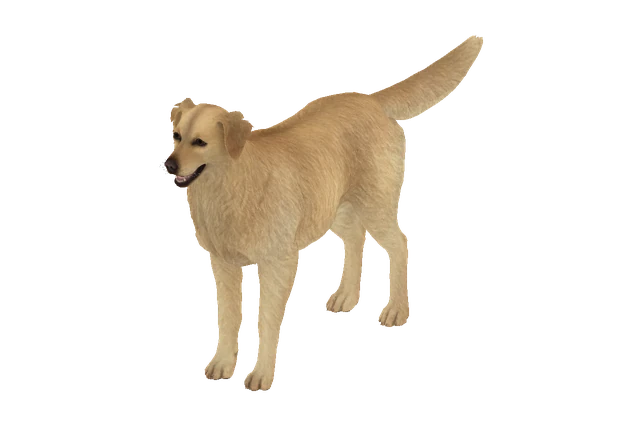 Golden Retriever B model preview