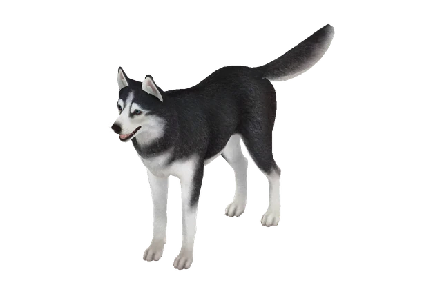 Husky A model preview