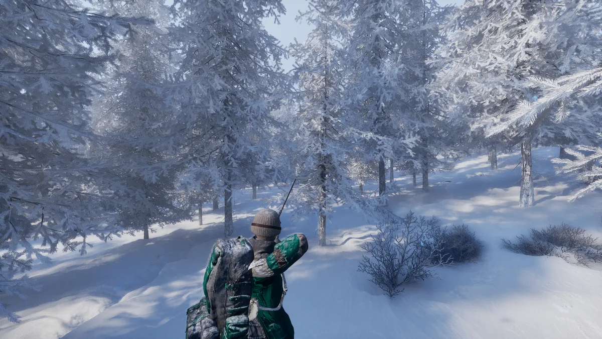 Snow-covered Woods from the developer’s January 2026 area preview.