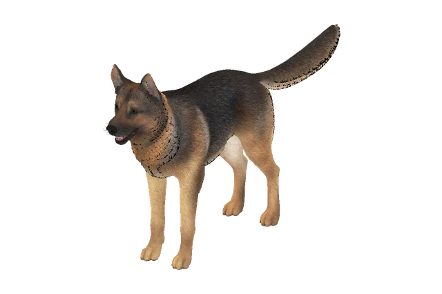 Shepherd B model preview