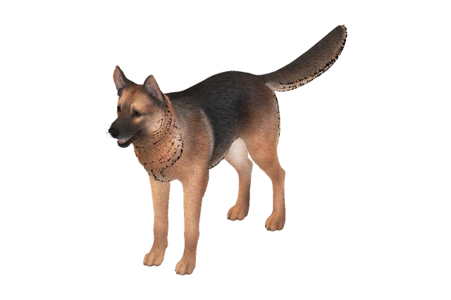 Shepherd A model preview