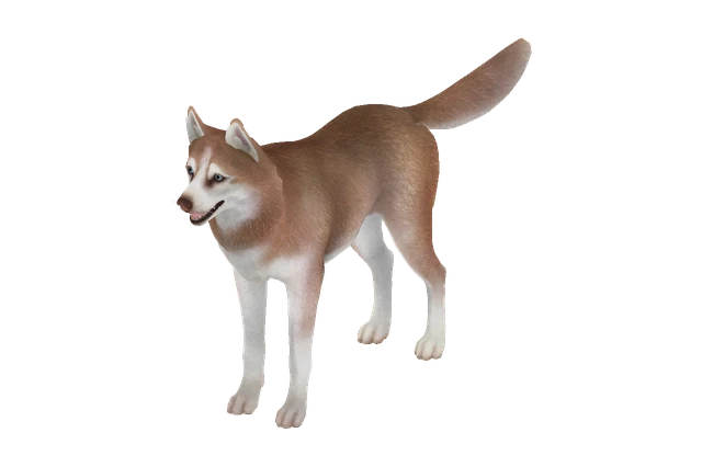 Husky B model preview