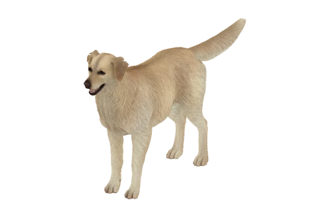 Golden Retriever A model preview