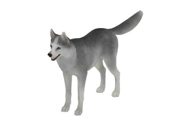 Husky C model preview