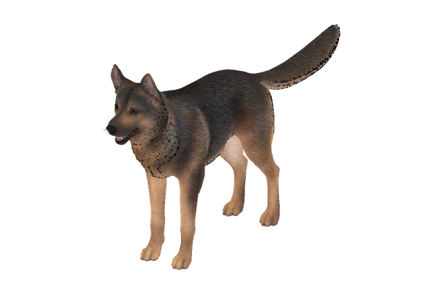 Shepherd C model preview